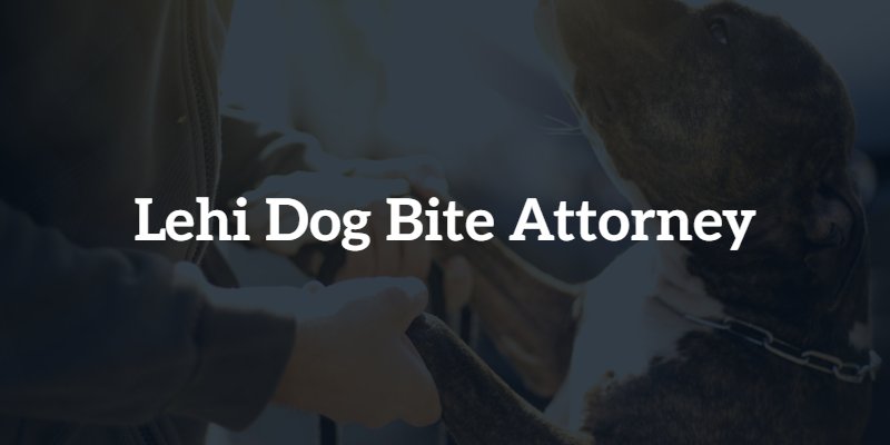 Lehi dog bite lawyer