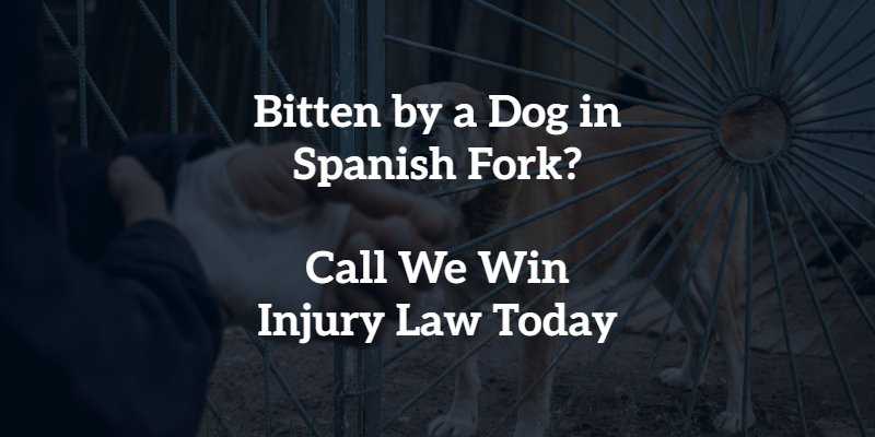 Spanish Fork Dog Bite Lawyer